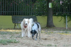 DSCN2201