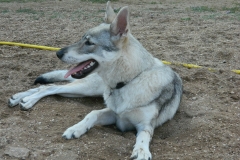 DSCN2202