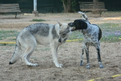 DSCN2204