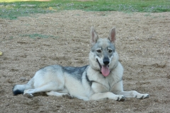 DSCN2222