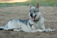 DSCN2223